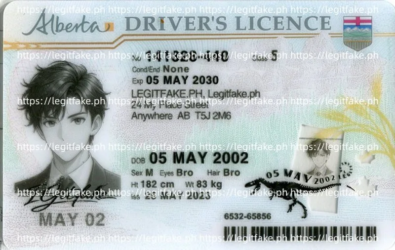 Alberta ID - canada ab Fake ID - Image 1