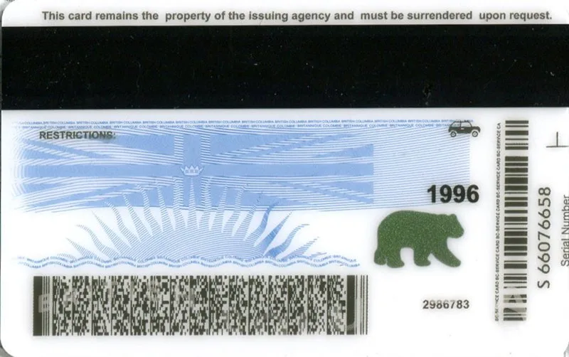 British Columbia ID - canada bc Fake ID - Image 2