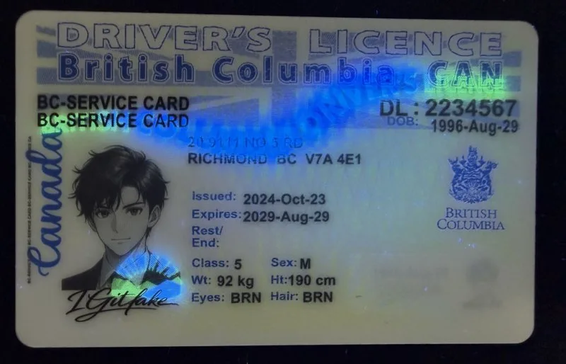 British Columbia ID - canada bc Fake ID - Image 3
