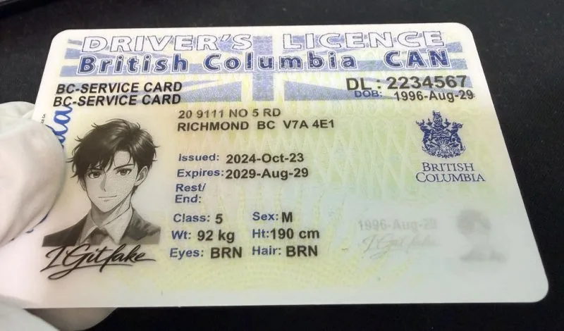 British Columbia ID - canada bc Fake ID - Image 4