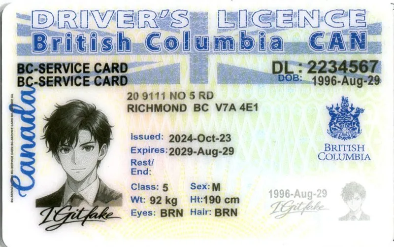 Buy British Columbia ID Fake ID Online