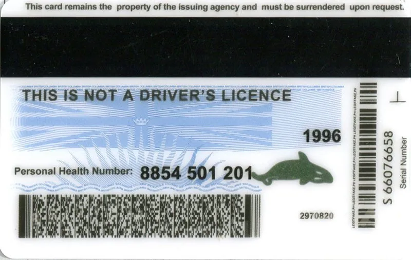 British Columbla (BC-SERVICES CARD) ID - canada bc Fake ID - Image 2
