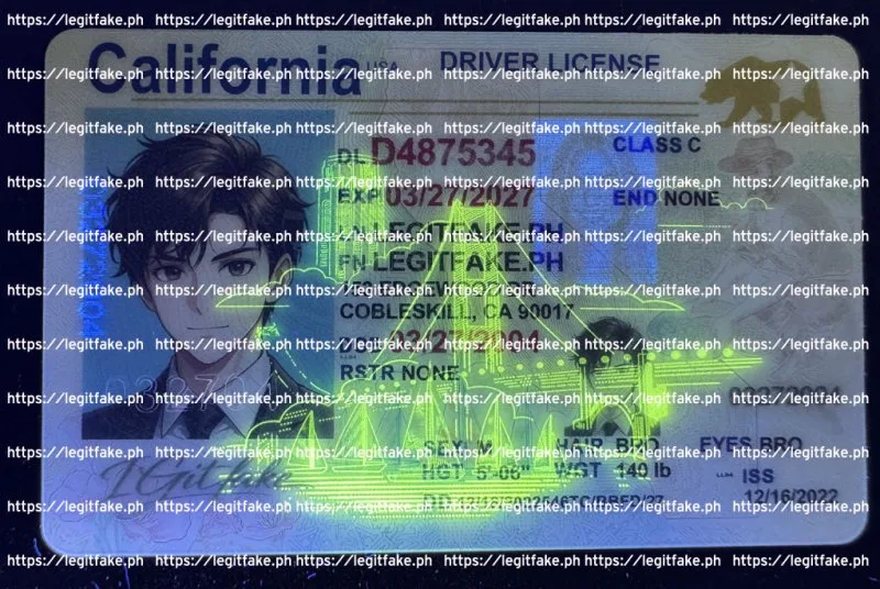 California ID - usa ca Fake ID - Image 4