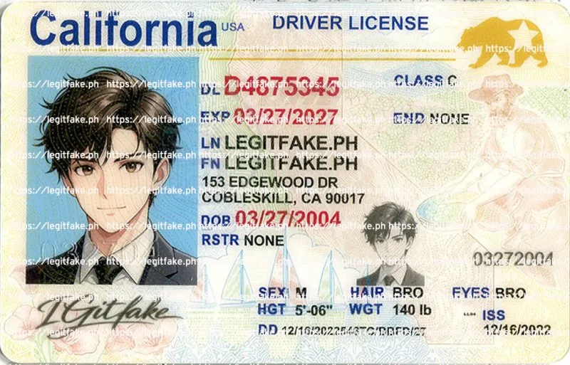 California ID - usa ca Fake ID - Image 1