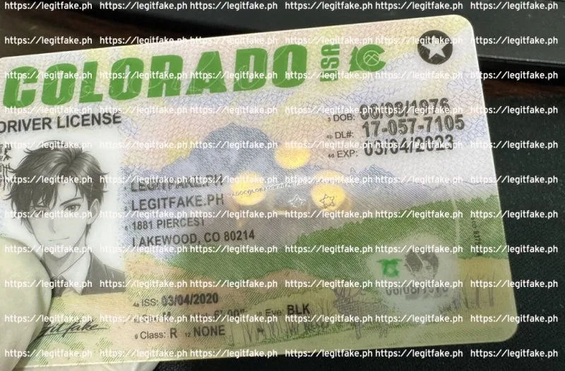 Colorado ID - usa co Fake ID - Image 3