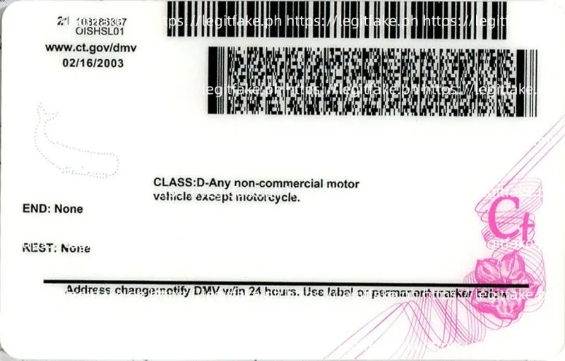 Connecticut ID - usa ct Fake ID - Image 2