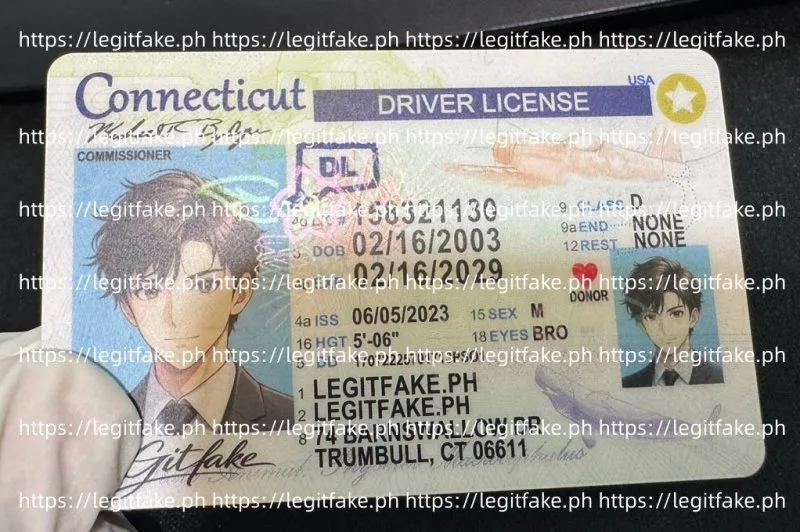 Connecticut ID - usa ct Fake ID - Image 3