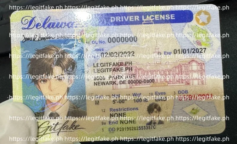 Delaware ID - usa de Fake ID - Image 3