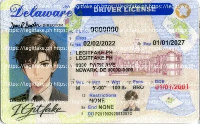 Delaware ID - usa de Scannable Fake ID