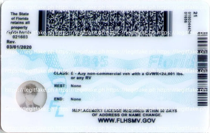 Florida ID - usa fl Fake ID - Image 2
