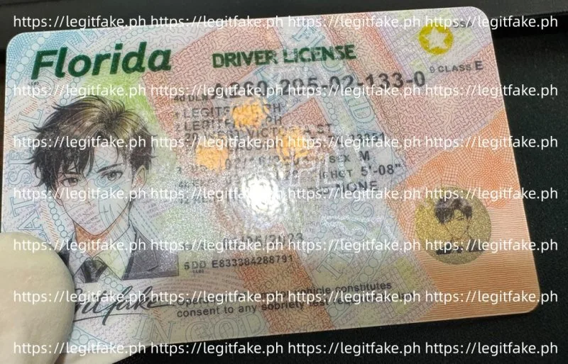 Florida ID - usa fl Fake ID - Image 3