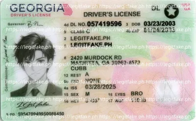 Georgia ID - usa ga Scannable Fake ID