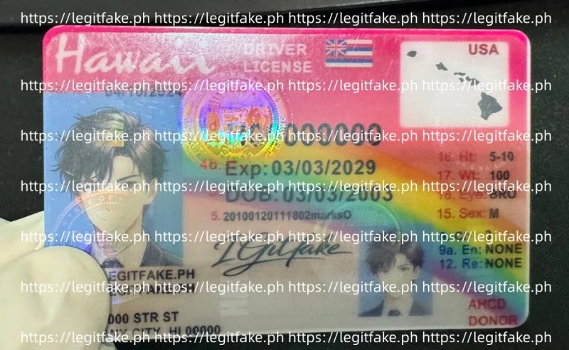 Hawaii ID - usa hi Fake ID - Image 3