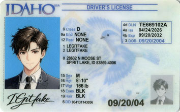 Idaho ID - usa id Fake ID - Image 1