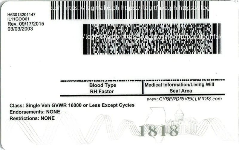 Illinois ID - usa il Fake ID - Image 2