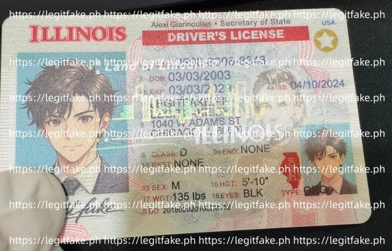 Illinois ID - usa il Fake ID - Image 3