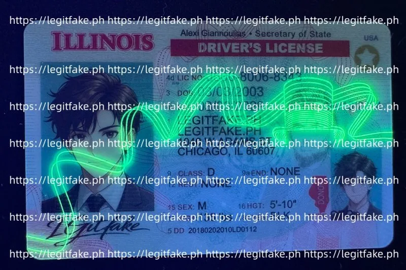 Illinois ID - usa il Fake ID - Image 4