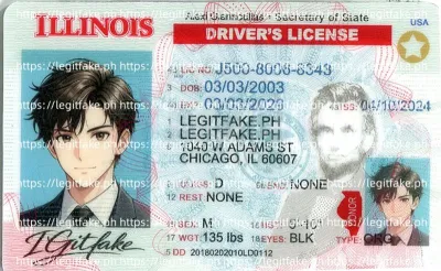 Illinois ID - usa il Scannable Fake ID
