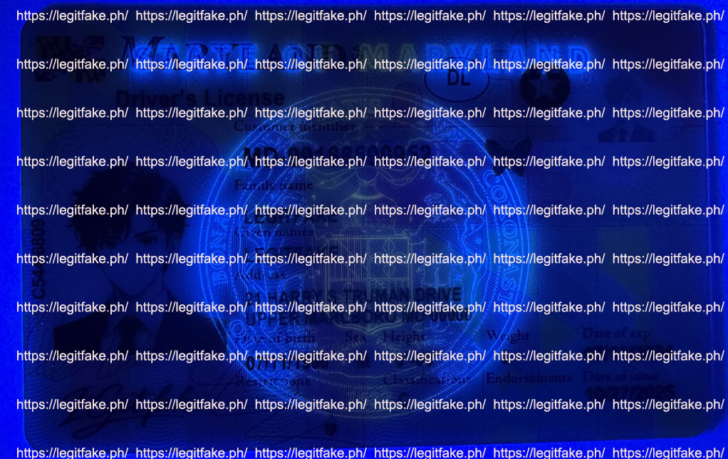 Maryland New- October 2, 2025 - usa md Fake ID - Image 2