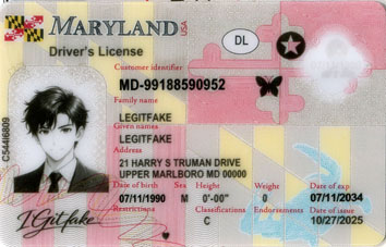Maryland New- October 2, 2025 - usa md Fake ID - Image 1