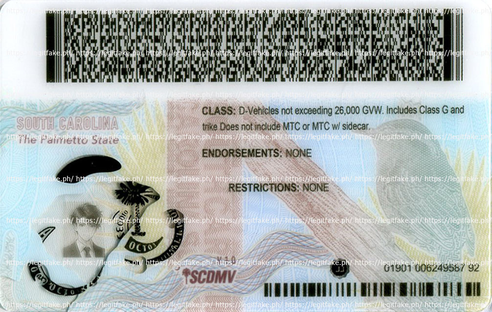 South Carolina 2025-08-25 - usa sc Fake ID - Image 2