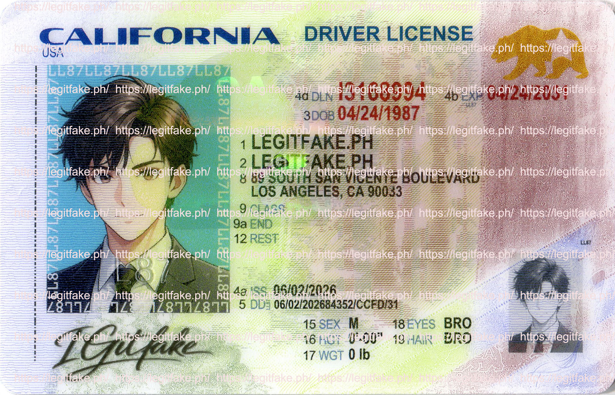 California new-October 2, 2025 - usa ca Fake ID - Image 3