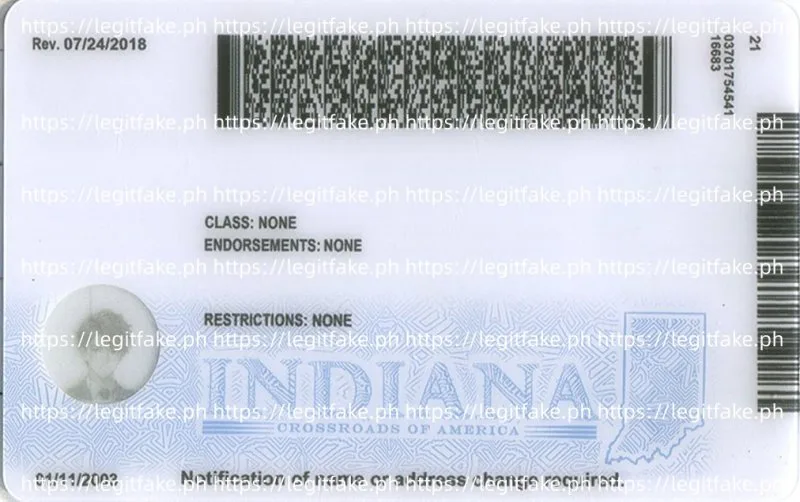 Indiana ID - usa in Fake ID - Image 3