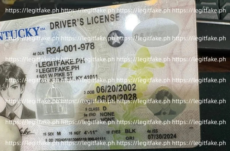 Kentucky ID - usa ky Fake ID - Image 3