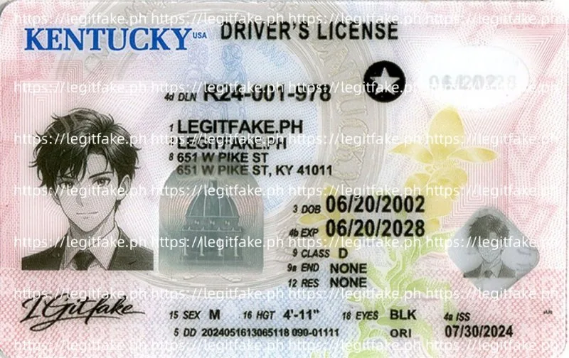 Buy Kentucky ID Fake ID Online