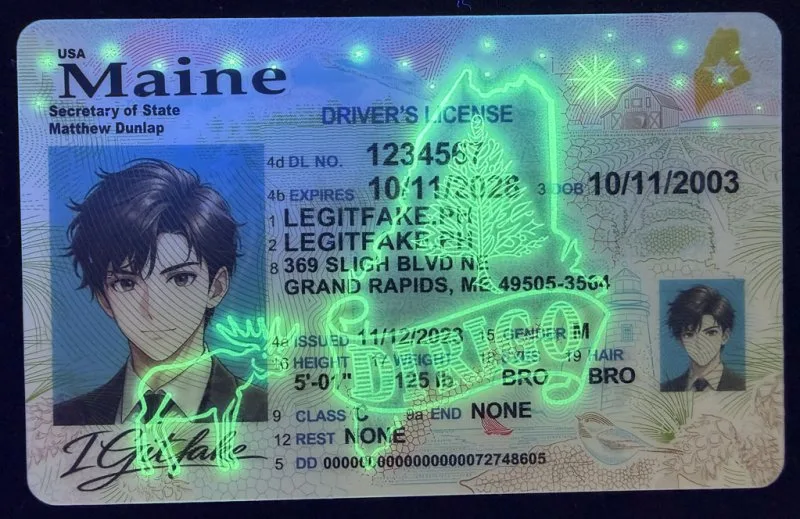 Maine ID - usa me Fake ID - Image 4