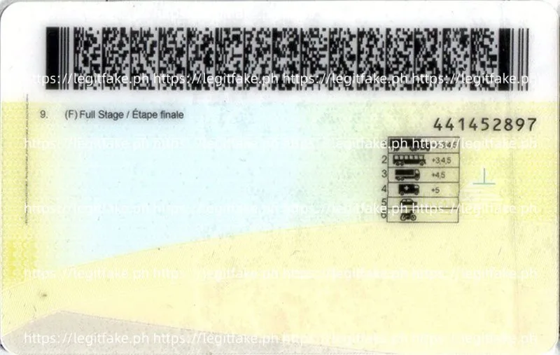 Manitba ID - canada mb Fake ID - Image 2