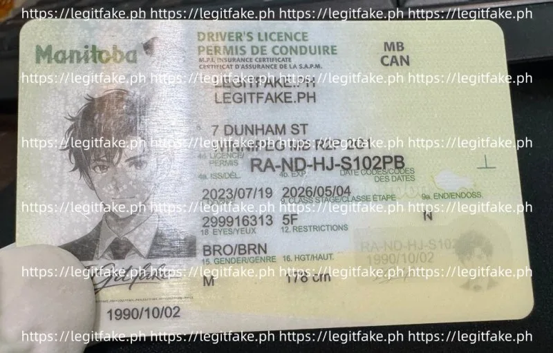 Manitba ID - canada mb Fake ID - Image 3