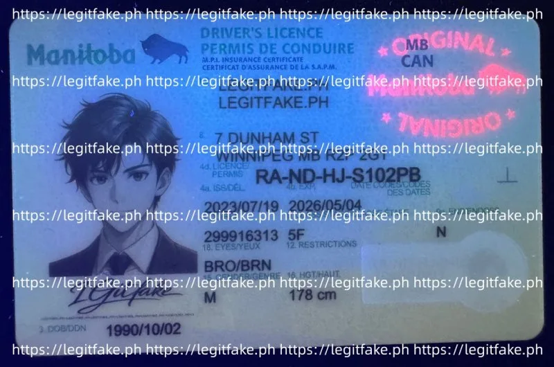 Manitba ID - canada mb Fake ID - Image 4