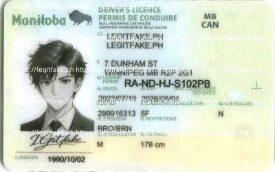 Manitba ID - canada mb Scannable Fake ID