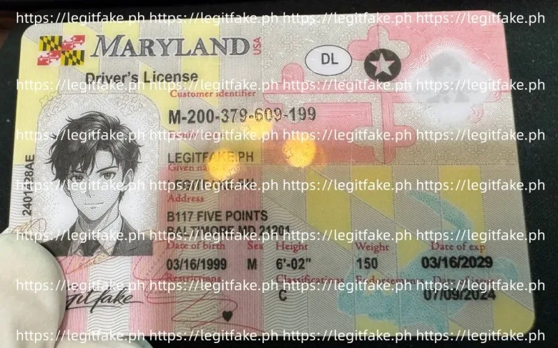 Maryland ID - usa md Fake ID - Image 3