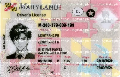 Maryland ID - usa md Scannable Fake ID
