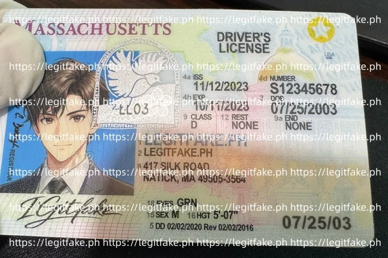 Massachusetts ID - usa ma Fake ID - Image 3