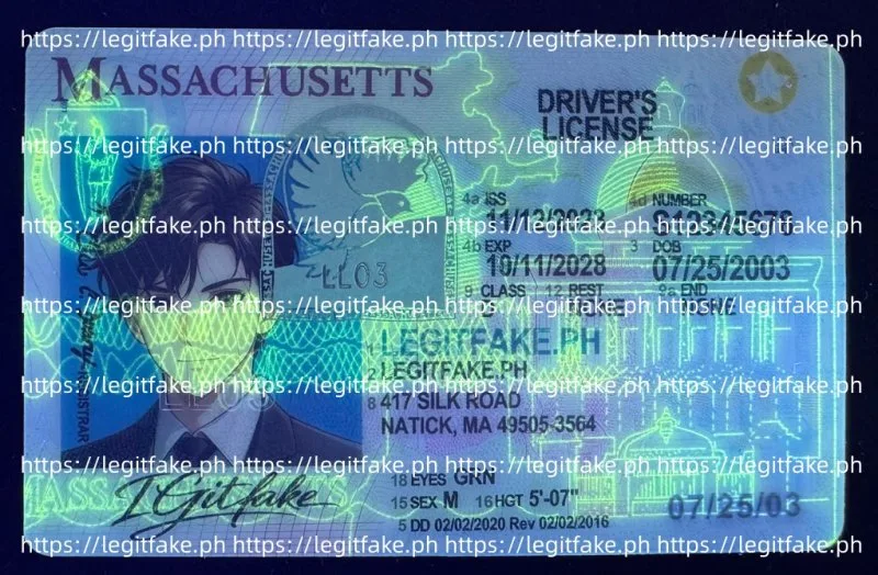 Massachusetts ID - usa ma Fake ID - Image 4