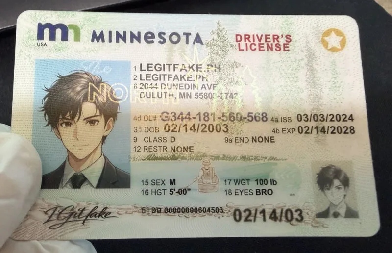 Minnesota ID - usa mn Fake ID - Image 3