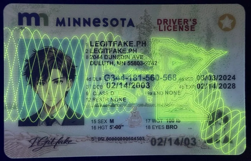 Minnesota ID - usa mn Fake ID - Image 4