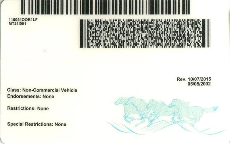 Montana ID - usa mt Fake ID - Image 2