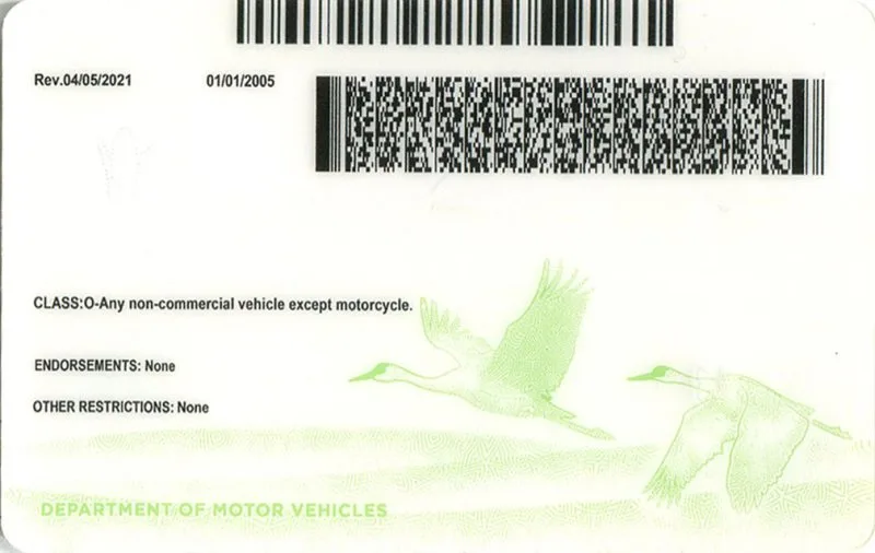 Nebraska ID - usa ne Fake ID - Image 2