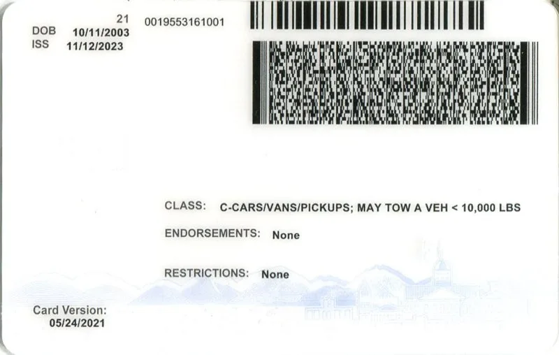 Nevada ID - usa nv Fake ID - Image 2