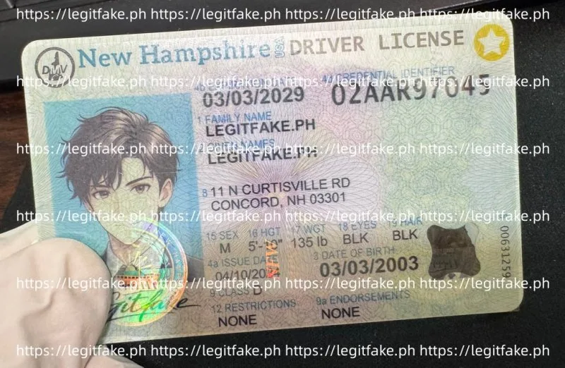 New Hampshire ID - usa nh Fake ID - Image 2