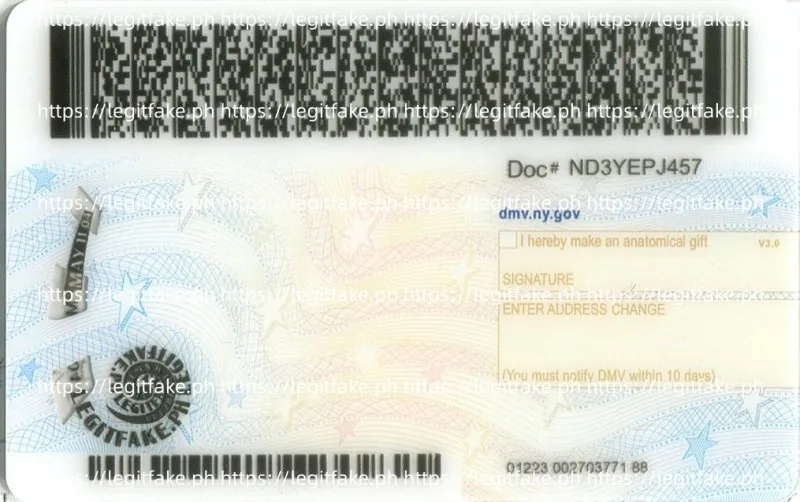 New York ID - usa ny Fake ID - Image 2