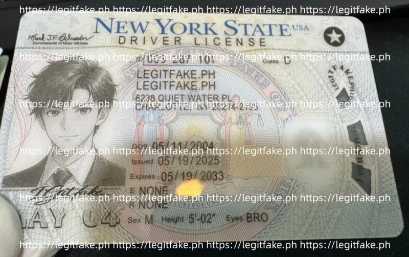 New York ID - usa ny Fake ID - Image 3