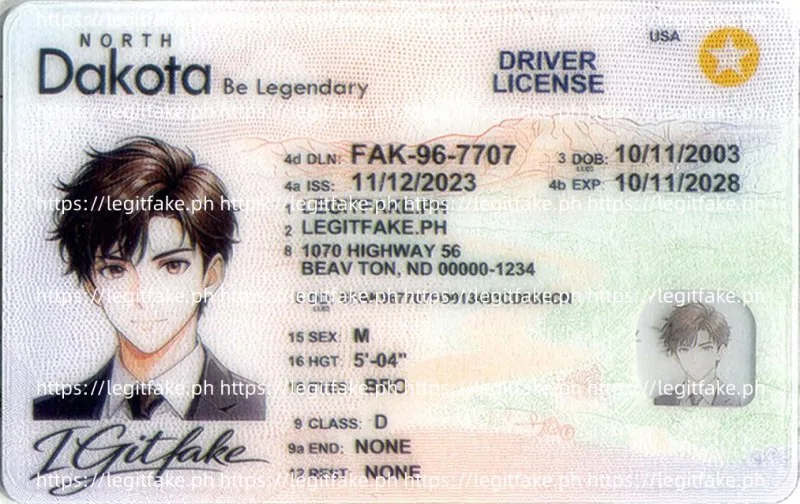 North Dakota ID - usa nd Fake ID - Image 1
