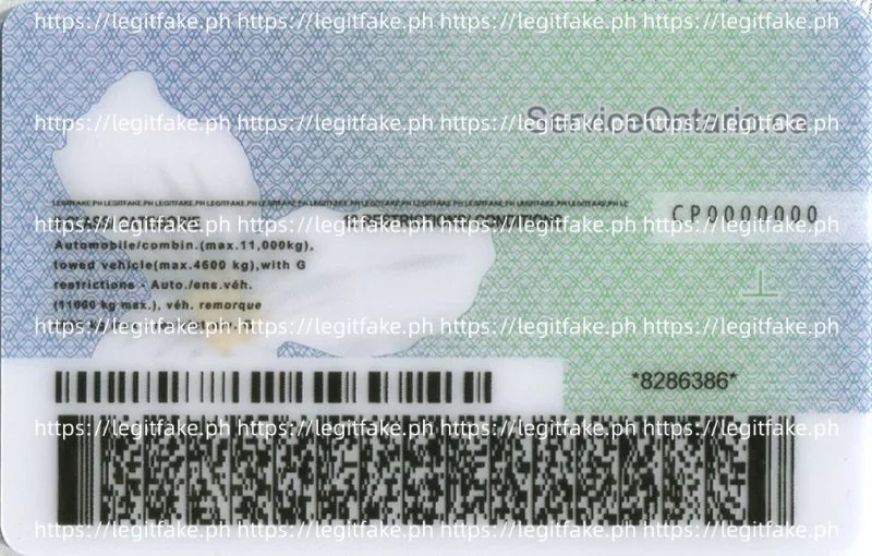 Ontario(CAN ON) ID - canada on Fake ID - Image 2