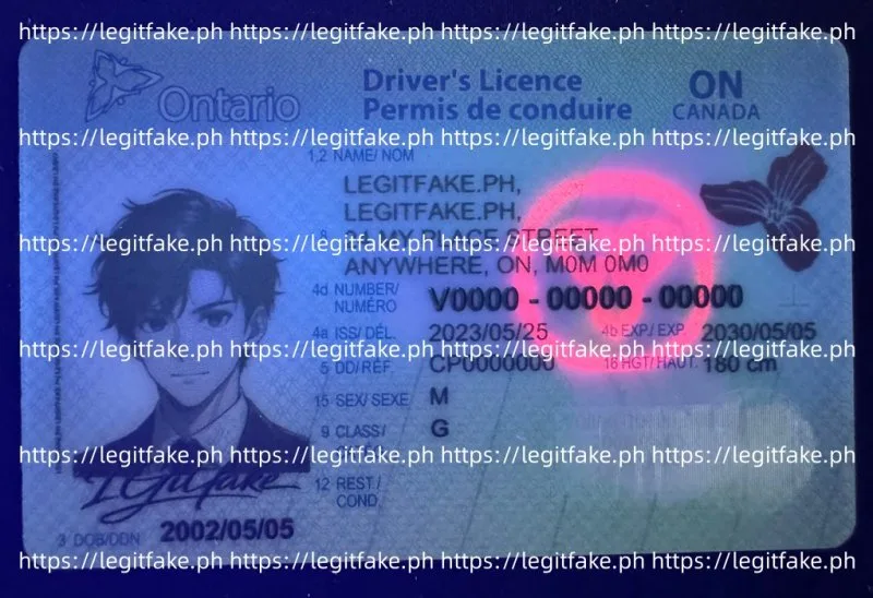 Ontario(CAN ON) ID - canada on Fake ID - Image 3