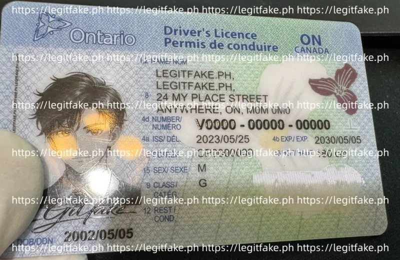 Ontario(CAN ON) ID - canada on Fake ID - Image 4